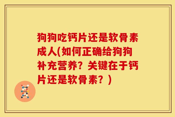 狗狗吃钙片还是软骨素成人(如何正确给狗狗补充营养？关键在于钙片还是软骨素？)