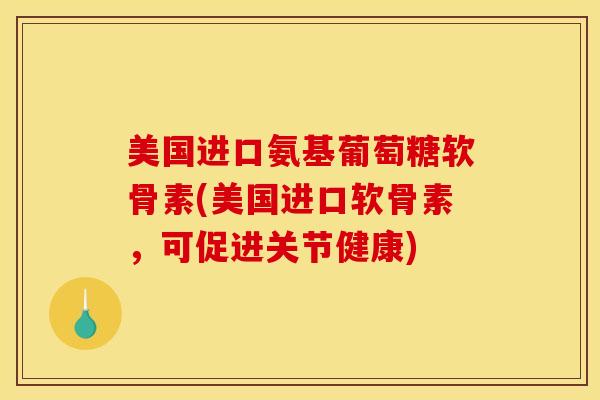 美国进口氨基葡萄糖软骨素(美国进口软骨素，可促进关节健康)
