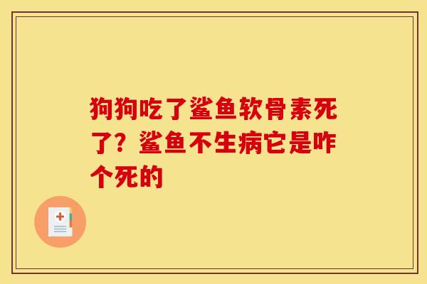 狗狗吃了鲨鱼软骨素死了?鲨鱼不生它是咋个死的 狗狗吃了鲨鱼软骨素死了?鲨鱼不生它是咋个死的