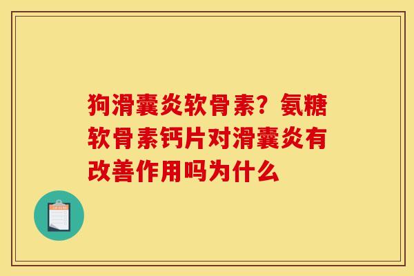 狗软骨素?氨糖软骨素钙片对有改善作用吗为什么 狗软骨素?氨糖软骨素钙片对有改善作用吗为什么