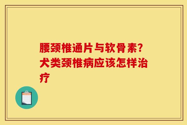 腰颈椎通片与软骨素？犬类颈椎应该怎样