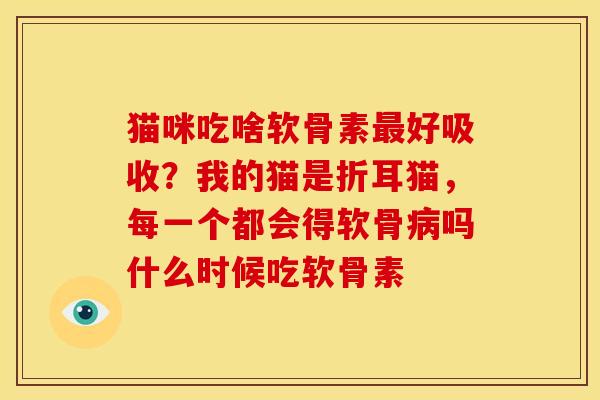 猫咪吃啥软骨素好吸收?我的猫是折耳猫,每一个都会得软骨吗什么时候吃软骨素 猫咪吃啥软骨素好吸收?我的猫是折耳猫,每一个都会得软骨吗什么时候吃软骨素