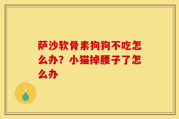 萨沙软骨素狗狗不吃怎么办?小猫掉腰子了怎么办 萨沙软骨素狗狗不吃怎么办?小猫掉腰子了怎么办
