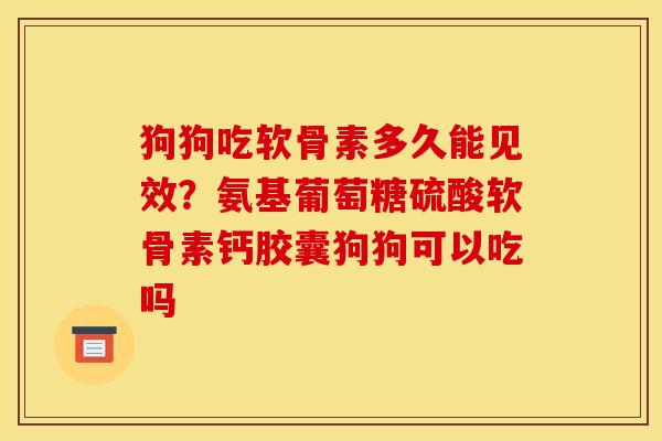 狗狗吃软骨素多久能见效？氨基葡萄糖硫酸软骨素钙胶囊狗狗可以吃吗
