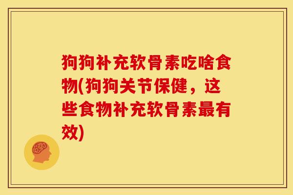 狗狗补充软骨素吃啥食物(狗狗关节保健,这些食物补充软骨素有效) 狗狗补充软骨素吃啥食物(狗狗关节保健,这些食物补充软骨素有效)
