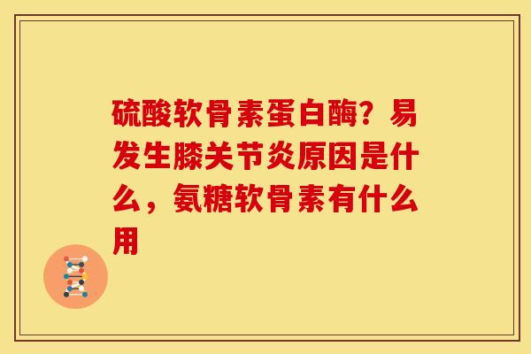 硫酸软骨素蛋白酶?易发生膝原因是什么,氨糖软骨素有什么用 硫酸软骨素蛋白酶?易发生膝原因是什么,氨糖软骨素有什么用