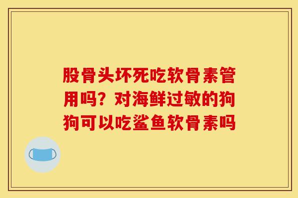 股骨头坏死吃软骨素管用吗?对海鲜的狗狗可以吃鲨鱼软骨素吗 股骨头坏死吃软骨素管用吗?对海鲜的狗狗可以吃鲨鱼软骨素吗
