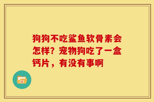 狗狗不吃鲨鱼软骨素会怎样?宠物狗吃了一盒钙片,有没有事啊 狗狗不吃鲨鱼软骨素会怎样?宠物狗吃了一盒钙片,有没有事啊