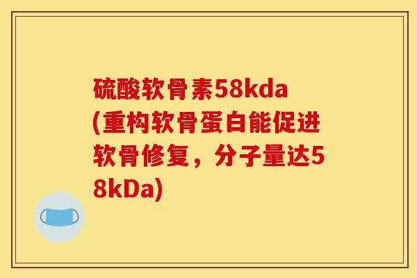 硫酸软骨素58kda(重构软骨蛋白能促进软骨修复，分子量达58kDa)