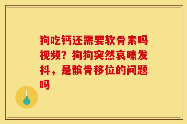 狗吃钙还需要软骨素吗视频？狗狗突然哀嚎发抖，是髌骨移位的问题吗
