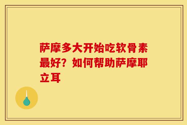 萨摩多大开始吃软骨素好？如何帮助萨摩耶立耳