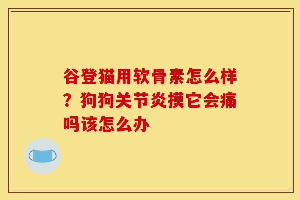 谷登猫用软骨素怎么样?狗狗摸它会痛吗该怎么办 谷登猫用软骨素怎么样?狗狗摸它会痛吗该怎么办