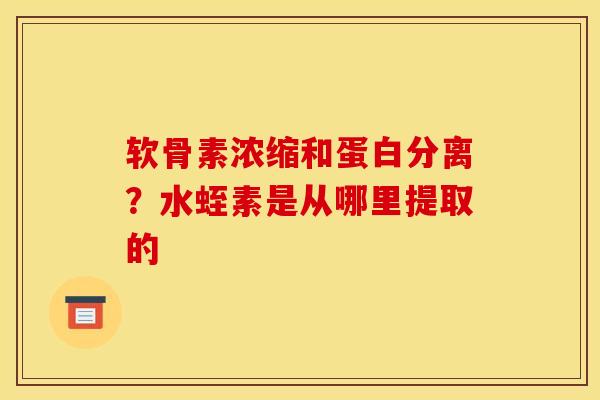 软骨素浓缩和蛋白分离?水蛭素是从哪里提取的 软骨素浓缩和蛋白分离?水蛭素是从哪里提取的