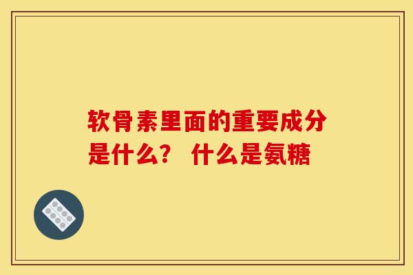 软骨素里面的重要成分是什么? 什么是氨糖 软骨素里面的重要成分是什么? 什么是氨糖