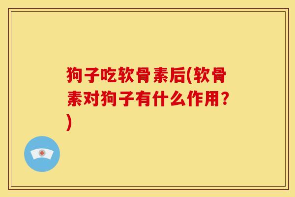 狗子吃软骨素后(软骨素对狗子有什么作用?) 狗子吃软骨素后(软骨素对狗子有什么作用?)