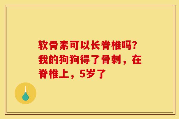 软骨素可以长脊椎吗？我的狗狗得了，在脊椎上，5岁了