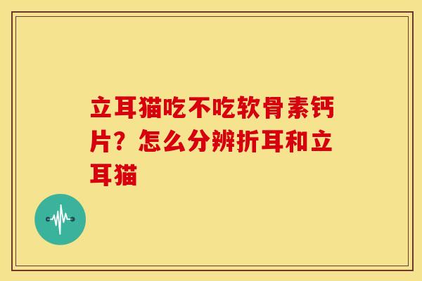 立耳猫吃不吃软骨素钙片?怎么分辨折耳和立耳猫 立耳猫吃不吃软骨素钙片?怎么分辨折耳和立耳猫