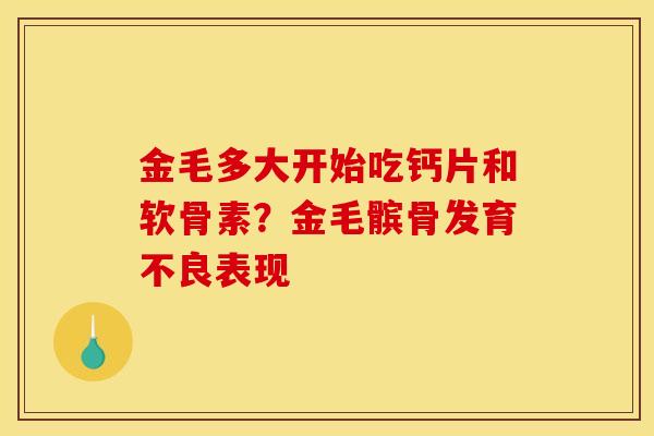 金毛多大开始吃钙片和软骨素?金毛髌骨发育不良表现 金毛多大开始吃钙片和软骨素?金毛髌骨发育不良表现