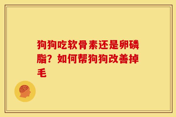 狗狗吃软骨素还是卵磷脂？如何帮狗狗改善掉毛