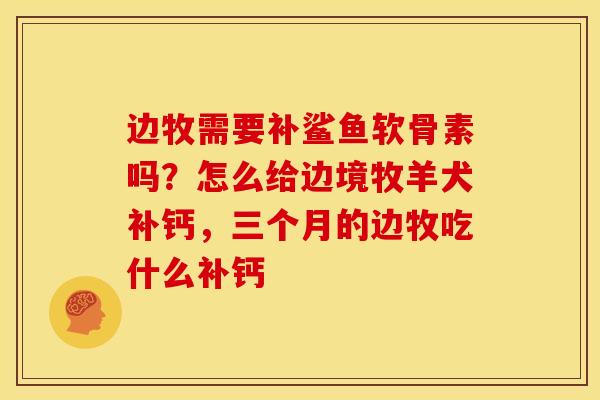 边牧需要补鲨鱼软骨素吗?怎么给边境牧羊犬补钙,三个月的边牧吃什么补钙 边牧需要补鲨鱼软骨素吗?怎么给边境牧羊犬补钙,三个月的边牧吃什么补钙