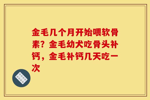 金毛几个月开始喂软骨素？金毛幼犬吃骨头补钙，金毛补钙几天吃一次