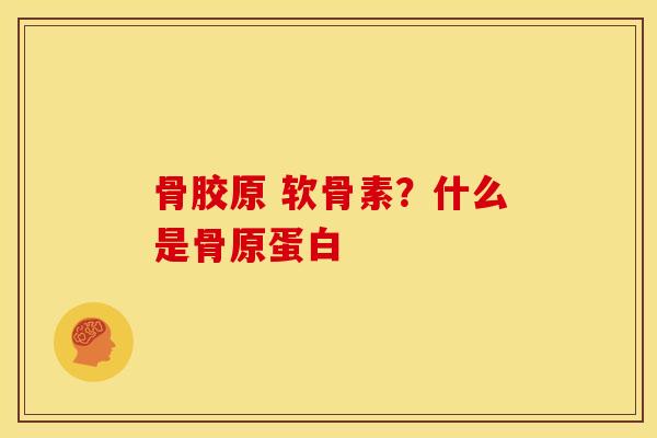 骨胶原 软骨素？什么是骨原蛋白