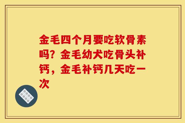 金毛四个月要吃软骨素吗?金毛幼犬吃骨头补钙,金毛补钙几天吃一次 金毛四个月要吃软骨素吗?金毛幼犬吃骨头补钙,金毛补钙几天吃一次