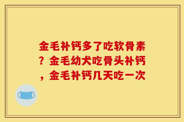 金毛补钙多了吃软骨素?金毛幼犬吃骨头补钙,金毛补钙几天吃一次 金毛补钙多了吃软骨素?金毛幼犬吃骨头补钙,金毛补钙几天吃一次