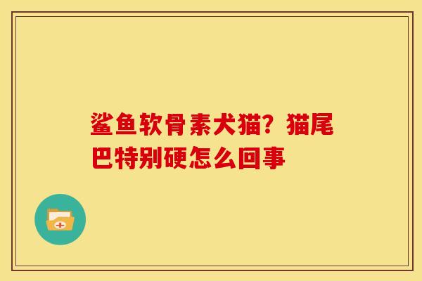 鲨鱼软骨素犬猫？猫尾巴特别硬怎么回事