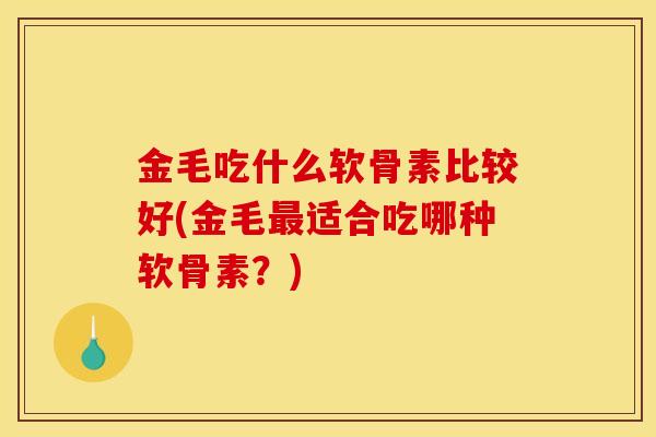 金毛吃什么软骨素比较好(金毛适合吃哪种软骨素？)