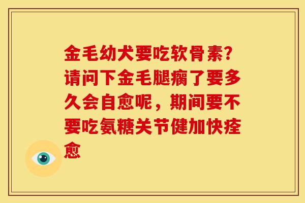 金毛幼犬要吃软骨素？请问下金毛腿瘸了要多久会自愈呢，期间要不要吃氨糖关节健加快痊愈