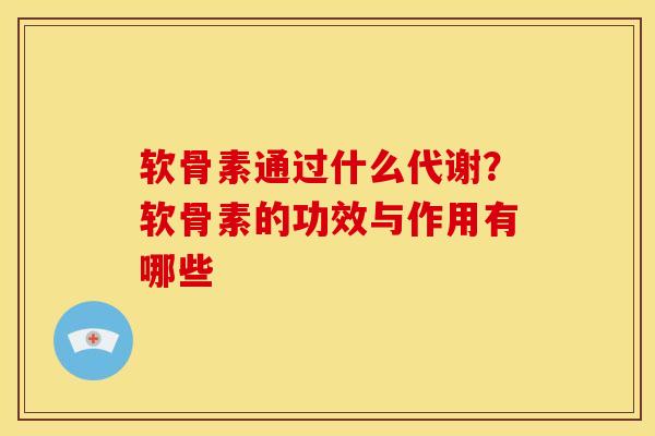 软骨素通过什么代谢?软骨素的功效与作用有哪些 软骨素通过什么代谢?软骨素的功效与作用有哪些