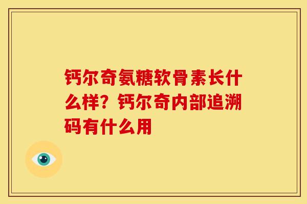 钙尔奇氨糖软骨素长什么样?钙尔奇内部追溯码有什么用 钙尔奇氨糖软骨素长什么样?钙尔奇内部追溯码有什么用