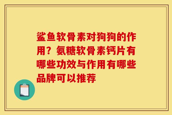鲨鱼软骨素对狗狗的作用？氨糖软骨素钙片有哪些功效与作用有哪些品牌可以推荐