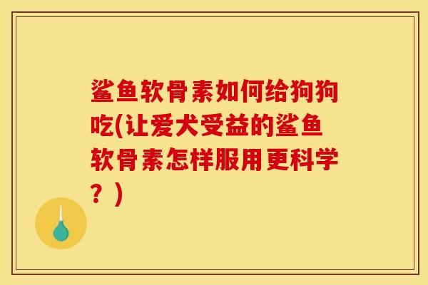 鲨鱼软骨素如何给狗狗吃(让爱犬受益的鲨鱼软骨素怎样服用更科学?) 鲨鱼软骨素如何给狗狗吃(让爱犬受益的鲨鱼软骨素怎样服用更科学?)