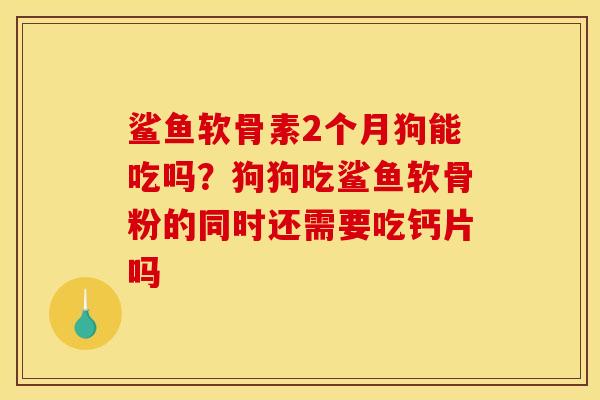 鲨鱼软骨素2个月狗能吃吗？狗狗吃鲨鱼软骨粉的同时还需要吃钙片吗