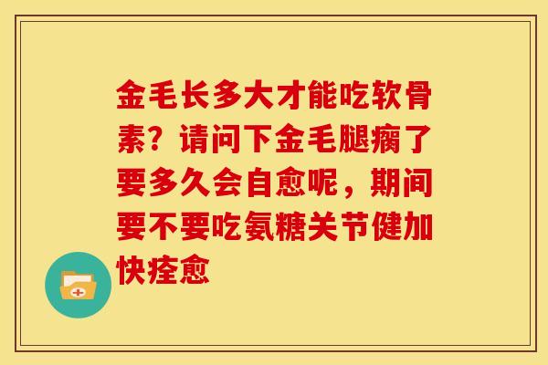 金毛长多大才能吃软骨素?请问下金毛腿瘸了要多久会自愈呢,期间要不要吃氨糖关节健加快痊愈 金毛长多大才能吃软骨素?请问下金毛腿瘸了要多久会自愈呢,期间要不要吃氨糖关节健加快痊愈