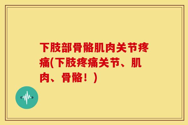 下肢部骨骼肌肉关节(下肢关节、肌肉、骨骼!) 下肢部骨骼肌肉关节(下肢关节、肌肉、骨骼!)