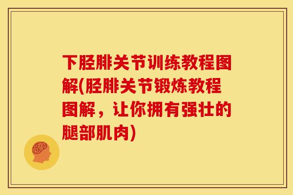 下胫腓关节训练教程图解(胫腓关节锻炼教程图解,让你拥有强壮的腿部肌肉) 下胫腓关节训练教程图解(胫腓关节锻炼教程图解,让你拥有强壮的腿部肌肉)