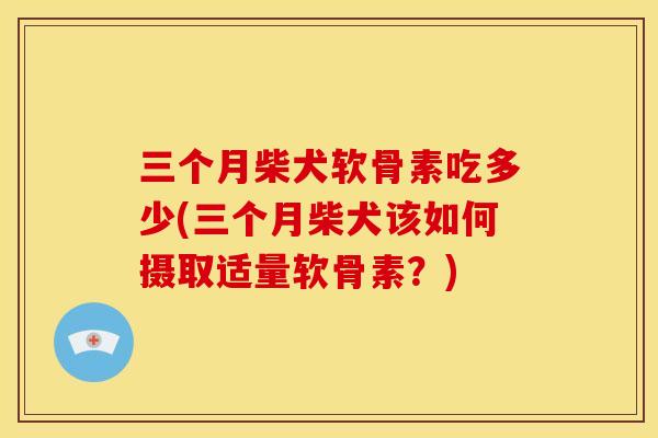 三个月柴犬软骨素吃多少(三个月柴犬该如何摄取适量软骨素？)