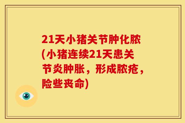 21天小猪关节肿化脓(小猪连续21天患,形成脓疮,险些丧命) 21天小猪关节肿化脓(小猪连续21天患,形成脓疮,险些丧命)