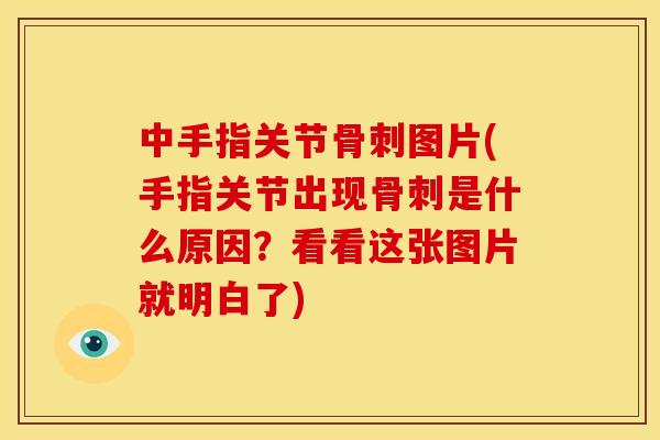 中手指关节图片(手指关节出现是什么原因?看看这张图片就明白了) 中手指关节图片(手指关节出现是什么原因?看看这张图片就明白了)