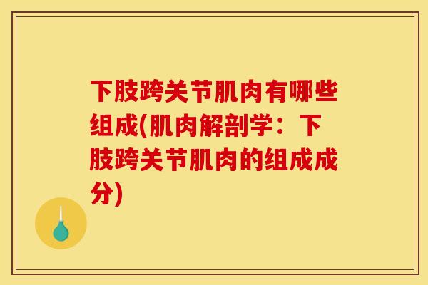 下肢跨关节肌肉有哪些组成(肌肉解剖学:下肢跨关节肌肉的组成成分) 下肢跨关节肌肉有哪些组成(肌肉解剖学:下肢跨关节肌肉的组成成分)