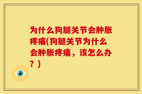 为什么狗腿关节会(狗腿关节为什么会,该怎么办?) 为什么狗腿关节会(狗腿关节为什么会,该怎么办?)