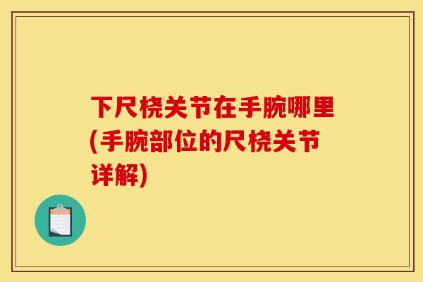 下尺桡关节在手腕哪里(手腕部位的尺桡关节详解) 下尺桡关节在手腕哪里(手腕部位的尺桡关节详解)