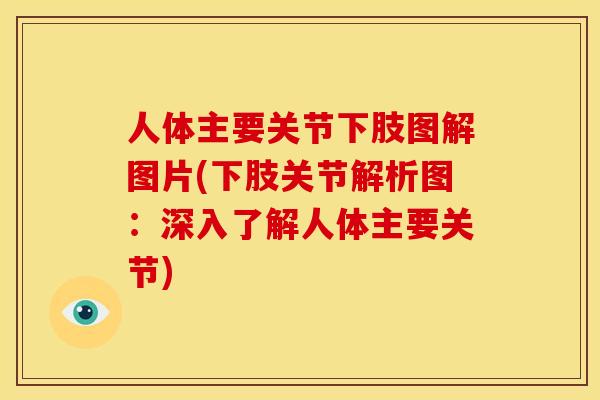 人体主要关节下肢图解图片(下肢关节解析图:深入了解人体主要关节) 人体主要关节下肢图解图片(下肢关节解析图:深入了解人体主要关节)