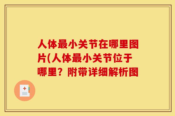 人体小关节在哪里图片(人体小关节位于哪里?附带详细解析图 人体小关节在哪里图片(人体小关节位于哪里?附带详细解析图