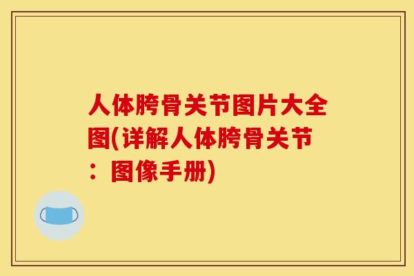 人体胯骨关节图片大全图(详解人体胯骨关节:图像手册) 人体胯骨关节图片大全图(详解人体胯骨关节:图像手册)