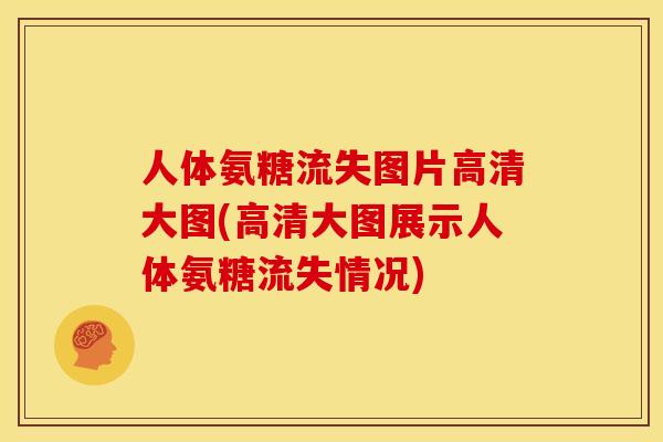 人体氨糖流失图片高清大图(高清大图展示人体氨糖流失情况) 人体氨糖流失图片高清大图(高清大图展示人体氨糖流失情况)