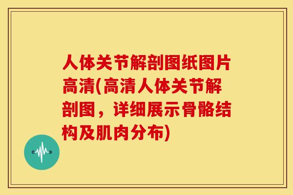 人体关节解剖图纸图片高清(高清人体关节解剖图,详细展示骨骼结构及肌肉分布) 人体关节解剖图纸图片高清(高清人体关节解剖图,详细展示骨骼结构及肌肉分布)